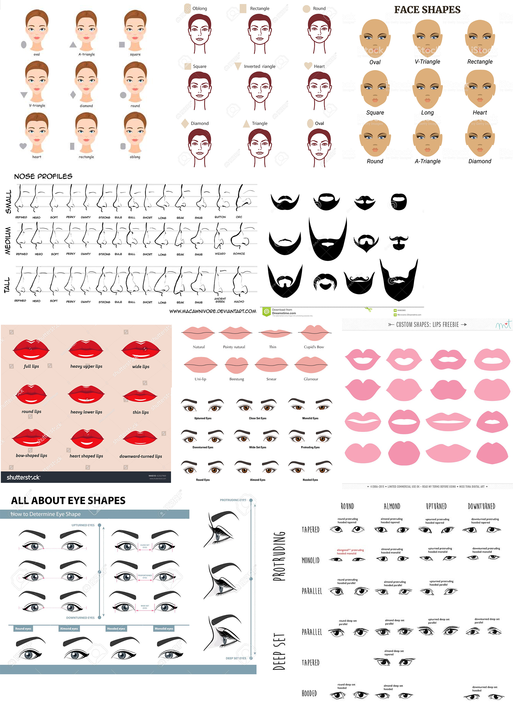 A selection of screenshots and images found online
                  that display various shapes of eyes, noses, lips, eyebrows, styles of the facial hair and faces.